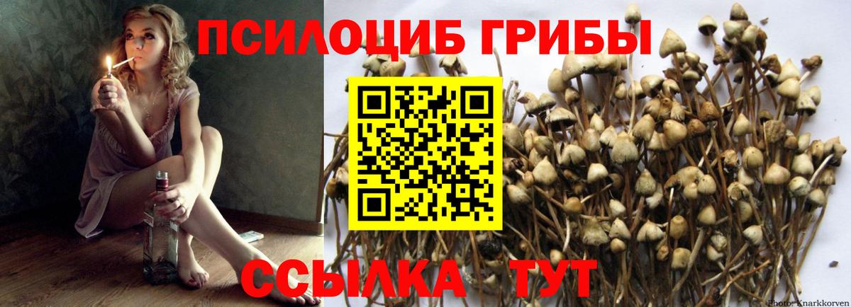 Галлюциногенные грибы прущие грибы Кстово