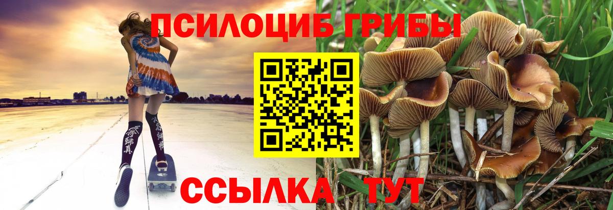 Кстово  Псилоцибиновые грибы Psilocybe  Галлюциногенные грибы Psilocybine cubensis  Вход с VPN 