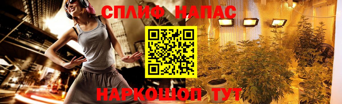 Кстово  Канабис тримм  Каннабис White Widow  Шишки марихуана план  Марихуана планчик  Вход с VPN 